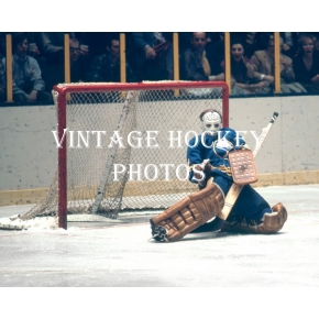 Beauty Roger Crozier 8x10 Buffalo Sabres photo 